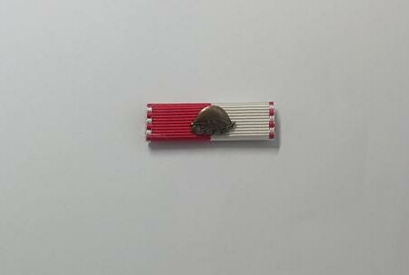 Ribbon / Ordensspange 2TM Bronze
