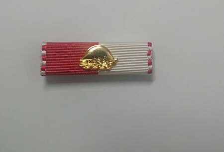 Ribbon / Ordensspange 2TM Gold